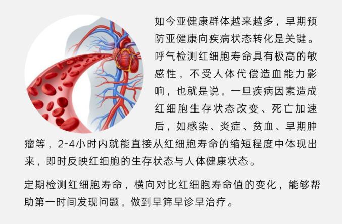 關(guān)于紅細胞壽命，你知道多少？